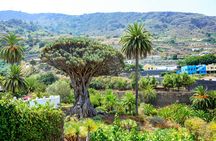 Northwest Tenerife full-day tour with Canarian lunch