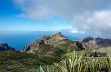Northwest Tenerife full-day tour with Canarian lunch