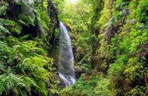 Northeast La Palma tour with Charco Azul and rum tasting