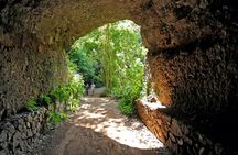 Northeast La Palma tour with Charco Azul and rum tasting