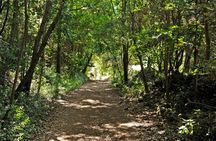 Northeast La Palma tour with Charco Azul and rum tasting