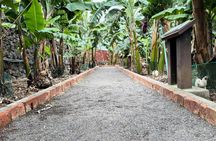 Full-Day Tenerife Tour with La Laguna and Lunch