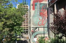 Urban art city tour in Basel