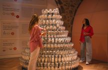 WOW 48-hour pass with Taylor's Wine Cellar audio guided tour