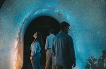 WOW 48-hour pass with Taylor's Wine Cellar audio guided tour