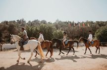 Albufeira lagoon horseback riding experience with hotel pick-up