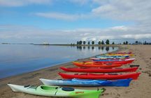 Midnight sun guided kayak tour on the Oulu River delta