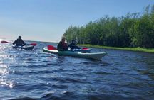 Midnight sun guided kayak tour on the Oulu River delta