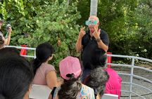 Snorkelling adventure off a secluded island from South Beach