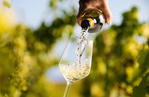 Wine tasting at Quinta dos Novais in Douro Valley