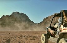 Premium sand buggy adventure with Bedouin food and tea from Sharm