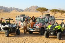 Premium sand buggy adventure with Bedouin food and tea from Sharm