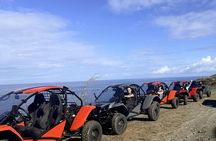 Buggy safari to ghost villages, olive mill and El Greco’s birthplace