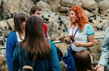 Behind-the-scenes guided tour at Oceanário de Lisboa