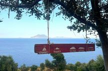 Filicudi vineyard stroll and Tuscia wine tasting experience