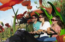 1-day entrance ticket to Futuroscope park