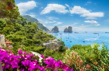 Full-day Capri discovery from Castellammare or Sorrento