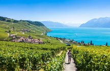 Wine tour in the Lavaux vineyards