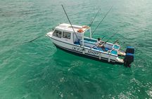 Zanzibar deep-sea fishing private half-day tour
