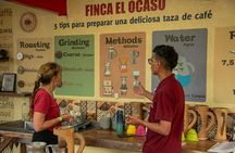 Finca El Ocaso guided coffee farm tour with tasting