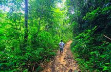 2-day guided Khao Sok and Cheow Lan Lake nature experience