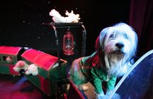 Tickets to Popovich Comedy Pet Theater