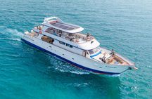 Fun fishing and relaxing cruise