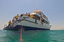 Fun fishing and relaxing cruise