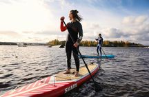 Guided SUP safari on the Oulu River delta