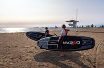 Guided SUP safari on the Oulu River delta