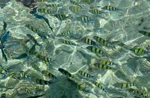 Khai Islands full-day speedboat tour with snorkelling