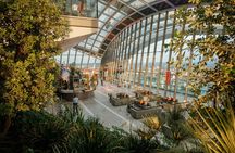 London Sky Garden early access ticket and breakfast treat