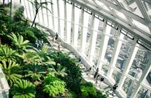 London Sky Garden early access ticket and breakfast treat