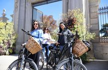 Small-group guided tour of Retiro Park by e-bike