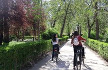 Small-group guided tour of Retiro Park by e-bike