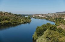 Templar knights full-day tour