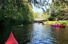 Guided kayak safari on the Oulu River delta