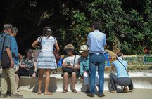 Barcelona full-day tour with Sagrada Familia skip-the-line entry