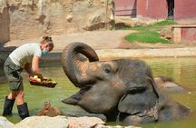 Terra Natura Zoo tickets