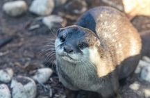 Terra Natura Zoo + Aqua Natura combined tickets
