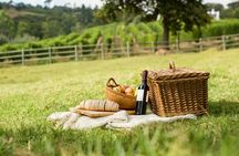 Assisi vineyard picnic and wine tasting