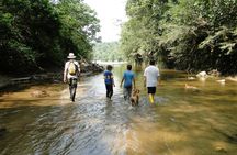 Napo Province primary rainforest guided tour with a local
