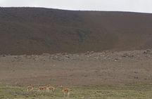 The source of the Amazon River full-day guided tour from Chivay