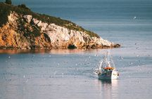 Skiathos fishing experience - no transfer