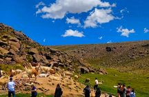 Colca Canyon full-day group tour with transfer to Puno from Arequipa