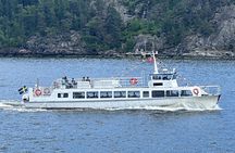 Stockholm archipelago highlights 45-minute boat tour with guide