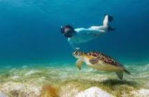Diving for beginners at the north coast of Zanzibar