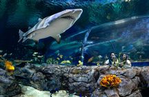 Mauritius Oceanarium Entrance Ticket With Transfer