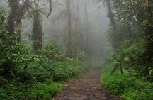 4-day Arenal and Monteverde tour with sloth walk and cloud forest