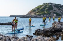 Small-group coastal SUP experience with sea caves and snorkelling